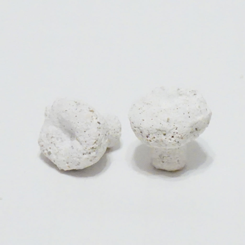 Coral Fragging Kit – Bone Cutters, Tweezers, Scissors, Glue, Magnetic Frag Rock & Frag Plugs