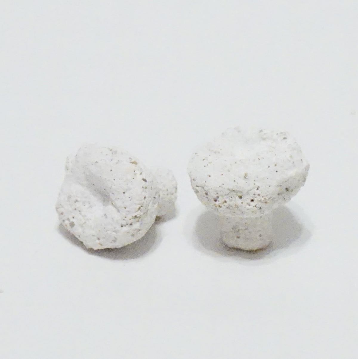 Coral Fragging Kit – Bone Cutters, Tweezers, Scissors, Glue, Magnetic Frag Rock & Frag Plugs