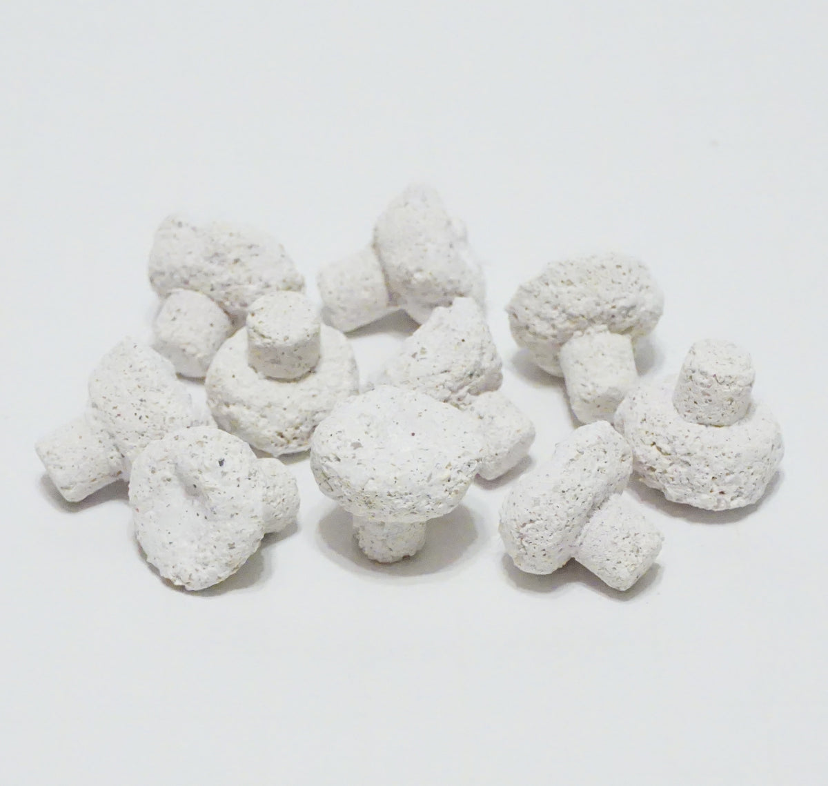 White Aragonite Frag Plugs – 1" Coral Frag Plugs