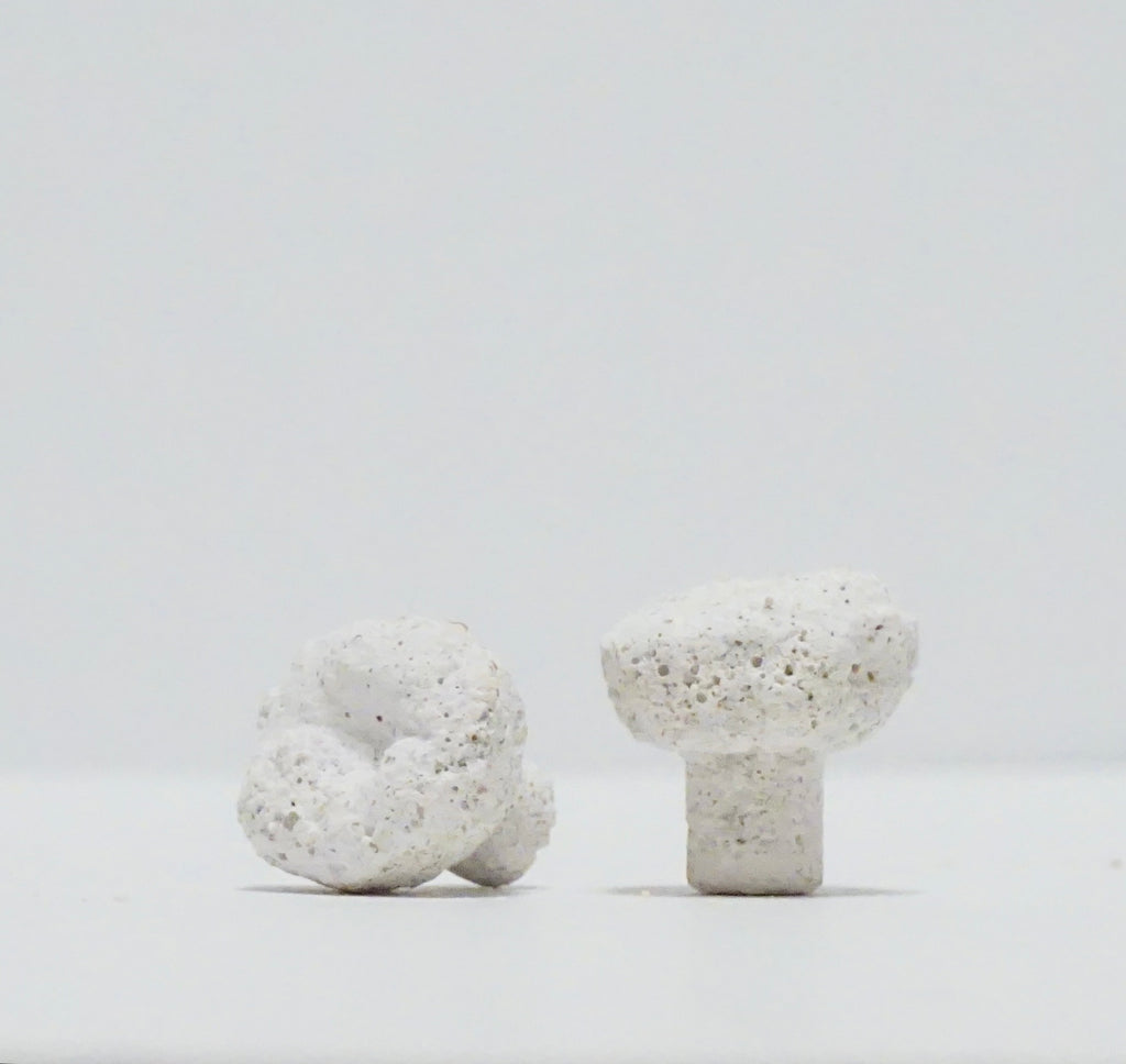 White Aragonite Frag Plugs – 1" Coral Frag Plugs