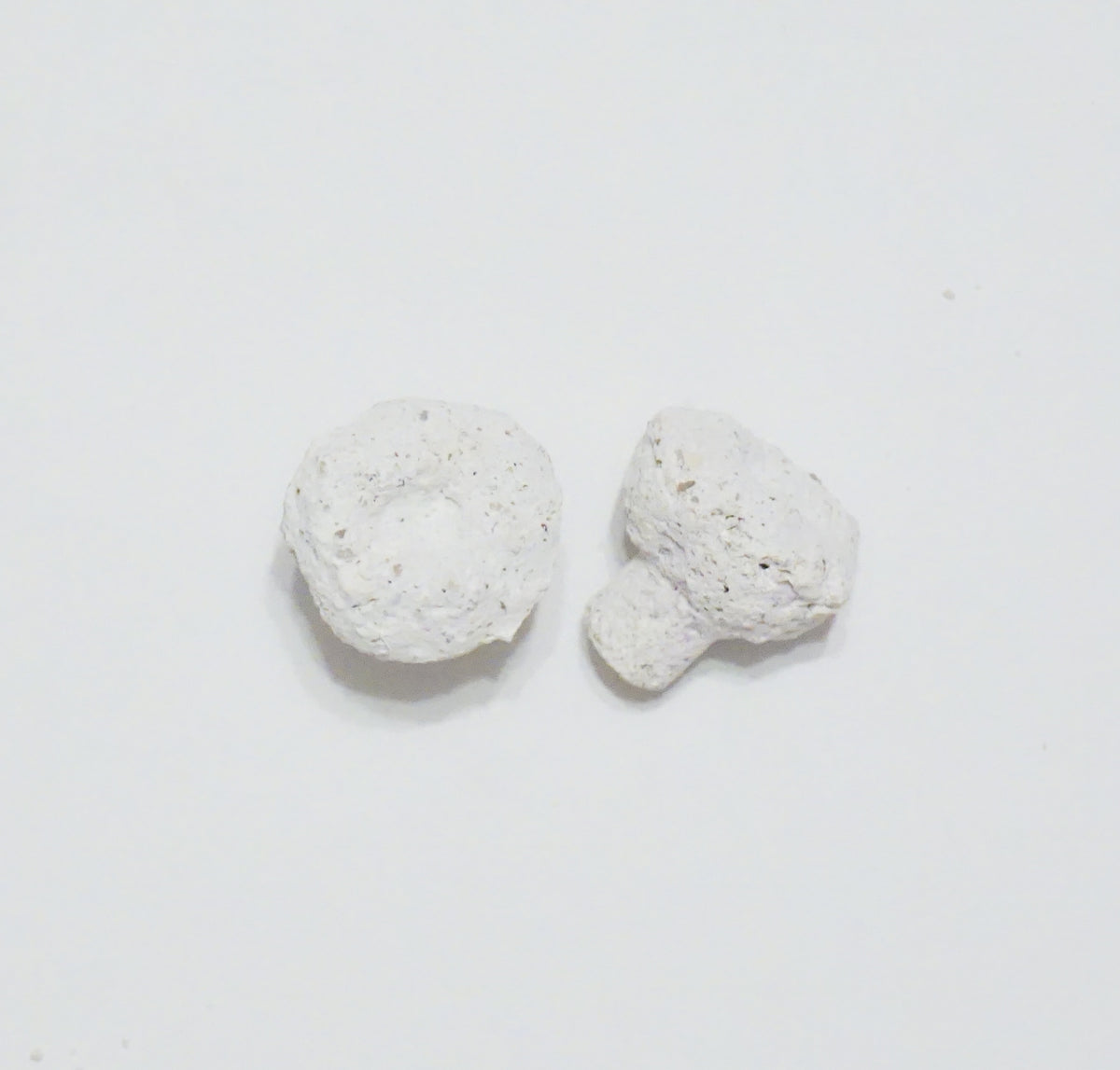 White Aragonite Frag Plugs – 1" Coral Frag Plugs